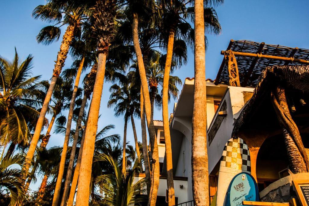 Cabo Surf Hotel San José del Cabo Eksteriør billede
