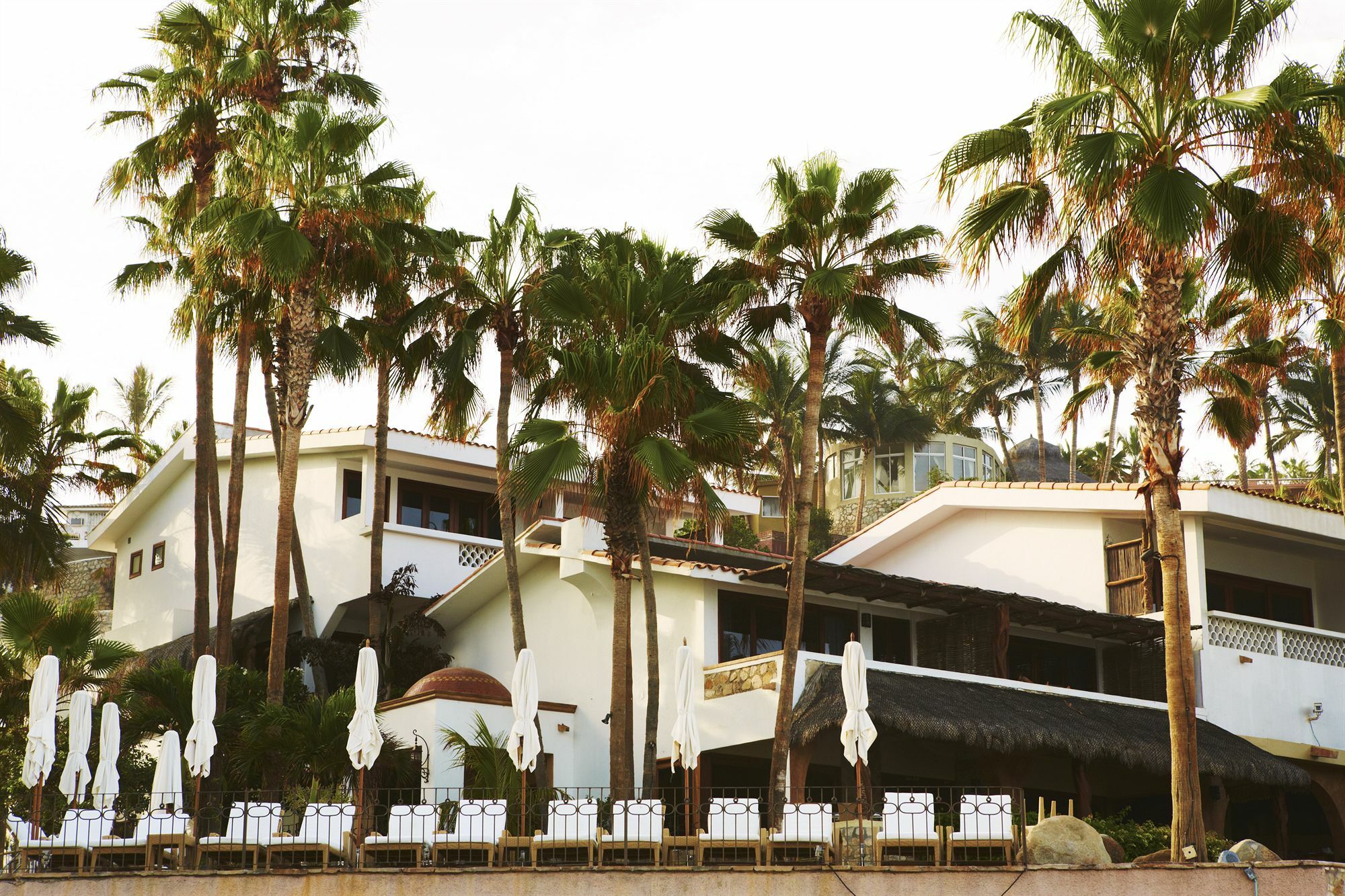 Cabo Surf Hotel San José del Cabo Eksteriør billede